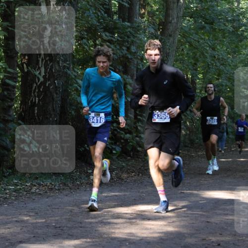 28.09.2025 - 33. Volkslauf durch das schöne Alstertal Strokosch-Dieckow http://msf.ph/oto/8968653 28.09.2025 11:10:58 Laufen 3416, 3368, 3349 meine-sportfotos.de