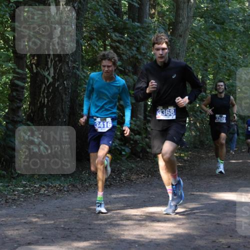 28.09.2025 - 33. Volkslauf durch das schöne Alstertal Strokosch-Dieckow http://msf.ph/oto/8968654 28.09.2025 11:10:58 Laufen 3416, 3368, 7, 3349 meine-sportfotos.de
