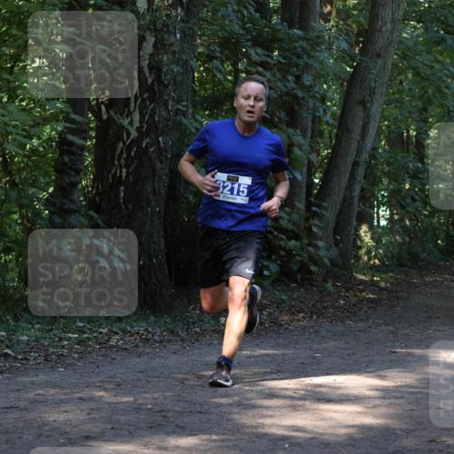 28.09.2025 - 33. Volkslauf durch das schöne Alstertal Strokosch-Dieckow http://msf.ph/oto/8968664 28.09.2025 11:11:05 Laufen 3215, 3374, 392 meine-sportfotos.de