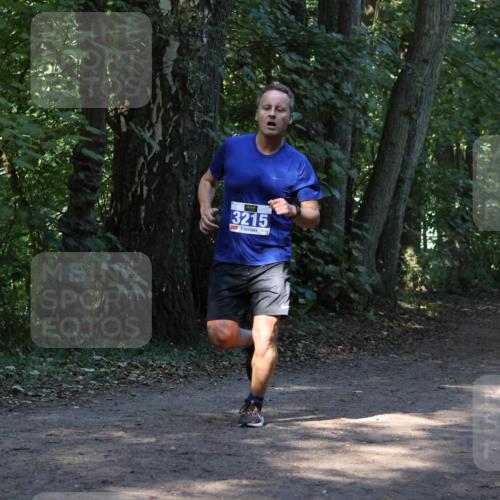 28.09.2025 - 33. Volkslauf durch das schöne Alstertal Strokosch-Dieckow http://msf.ph/oto/8968665 28.09.2025 11:11:05 Laufen 3215, 3374 meine-sportfotos.de