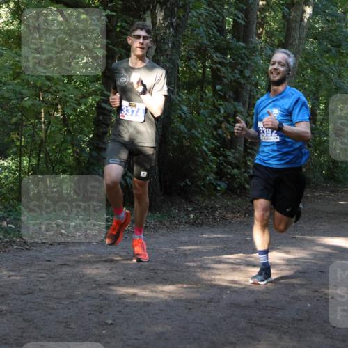 28.09.2025 - 33. Volkslauf durch das schöne Alstertal Strokosch-Dieckow http://msf.ph/oto/8968676 28.09.2025 11:11:09 Laufen 3374, 3392 meine-sportfotos.de