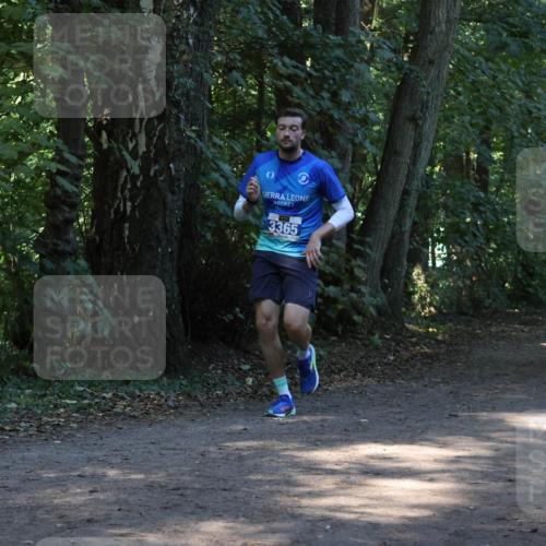 28.09.2025 - 33. Volkslauf durch das schöne Alstertal Strokosch-Dieckow http://msf.ph/oto/8968685 28.09.2025 11:11:57 Laufen 3365 meine-sportfotos.de