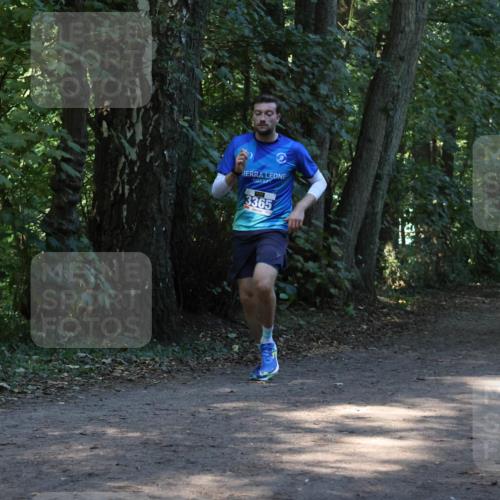 28.09.2025 - 33. Volkslauf durch das schöne Alstertal Strokosch-Dieckow http://msf.ph/oto/8968686 28.09.2025 11:11:57 Laufen 3365 meine-sportfotos.de