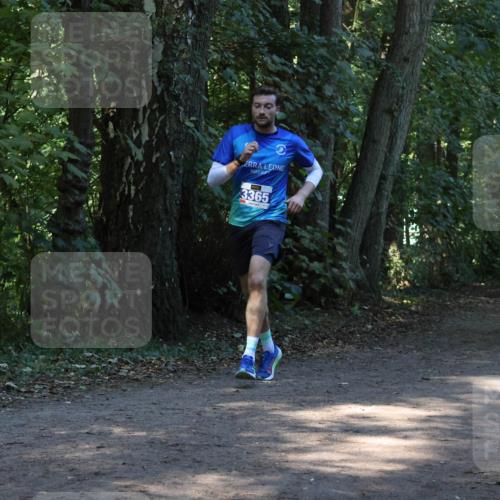 28.09.2025 - 33. Volkslauf durch das schöne Alstertal Strokosch-Dieckow http://msf.ph/oto/8968687 28.09.2025 11:11:58 Laufen 3365 meine-sportfotos.de