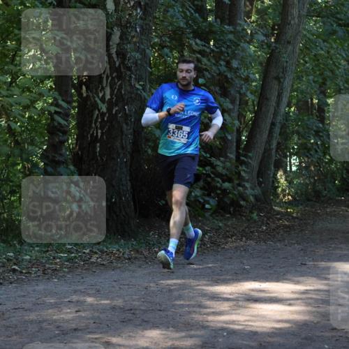 28.09.2025 - 33. Volkslauf durch das schöne Alstertal Strokosch-Dieckow http://msf.ph/oto/8968688 28.09.2025 11:11:58 Laufen 3365 meine-sportfotos.de