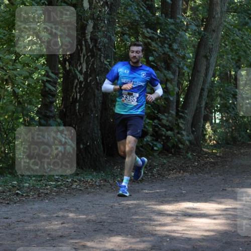 28.09.2025 - 33. Volkslauf durch das schöne Alstertal Strokosch-Dieckow http://msf.ph/oto/8968689 28.09.2025 11:11:58 Laufen 3365 meine-sportfotos.de
