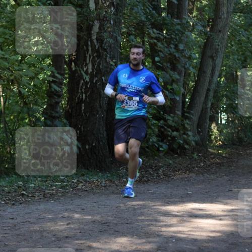 28.09.2025 - 33. Volkslauf durch das schöne Alstertal Strokosch-Dieckow http://msf.ph/oto/8968690 28.09.2025 11:11:58 Laufen 3365 meine-sportfotos.de