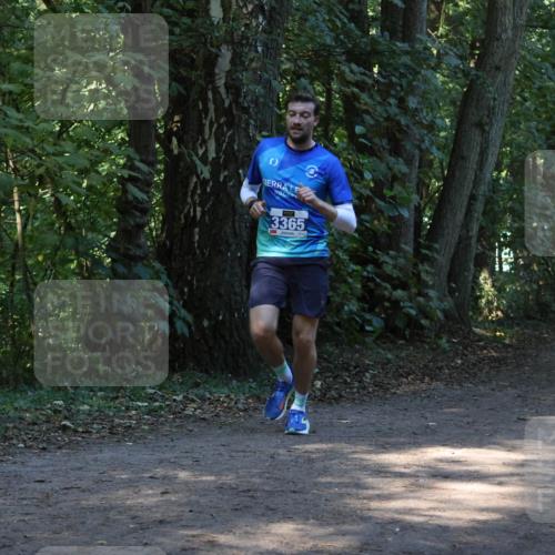 28.09.2025 - 33. Volkslauf durch das schöne Alstertal Strokosch-Dieckow http://msf.ph/oto/8968691 28.09.2025 11:11:58 Laufen 3365 meine-sportfotos.de