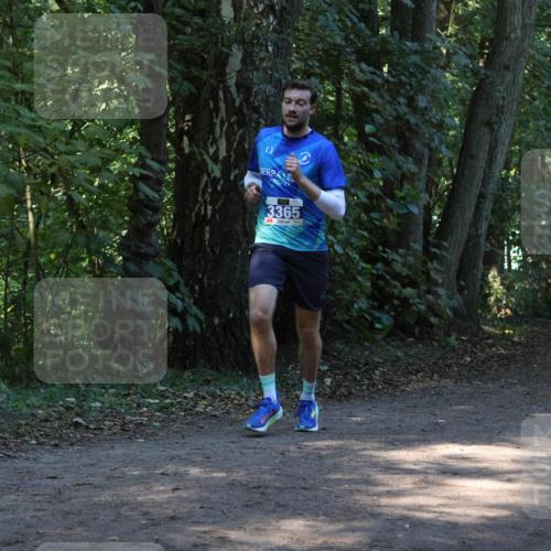 28.09.2025 - 33. Volkslauf durch das schöne Alstertal Strokosch-Dieckow http://msf.ph/oto/8968692 28.09.2025 11:11:58 Laufen 3365 meine-sportfotos.de