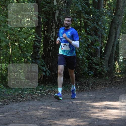 28.09.2025 - 33. Volkslauf durch das schöne Alstertal Strokosch-Dieckow http://msf.ph/oto/8968693 28.09.2025 11:11:58 Laufen 3365 meine-sportfotos.de