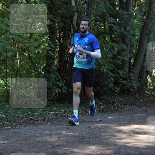 28.09.2025 - 33. Volkslauf durch das schöne Alstertal Strokosch-Dieckow http://msf.ph/oto/8968694 28.09.2025 11:11:58 Laufen 3365 meine-sportfotos.de