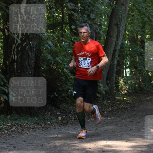 28.09.2025 - 33. Volkslauf durch das schöne Alstertal Strokosch-Dieckow http://msf.ph/oto/8968695 28.09.2025 11:12:44 Laufen 3005 meine-sportfotos.de
