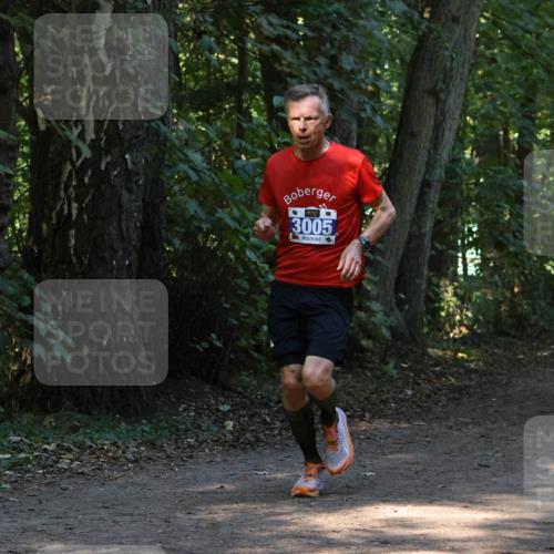 28.09.2025 - 33. Volkslauf durch das schöne Alstertal Strokosch-Dieckow http://msf.ph/oto/8968696 28.09.2025 11:12:44 Laufen 3005 meine-sportfotos.de