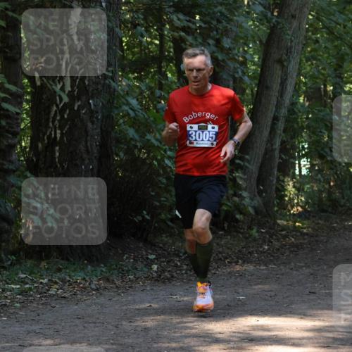 28.09.2025 - 33. Volkslauf durch das schöne Alstertal Strokosch-Dieckow http://msf.ph/oto/8968697 28.09.2025 11:12:44 Laufen 3005 meine-sportfotos.de