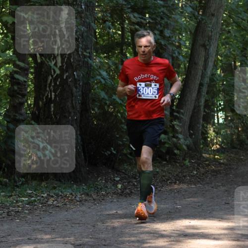 28.09.2025 - 33. Volkslauf durch das schöne Alstertal Strokosch-Dieckow http://msf.ph/oto/8968698 28.09.2025 11:12:44 Laufen 3005 meine-sportfotos.de
