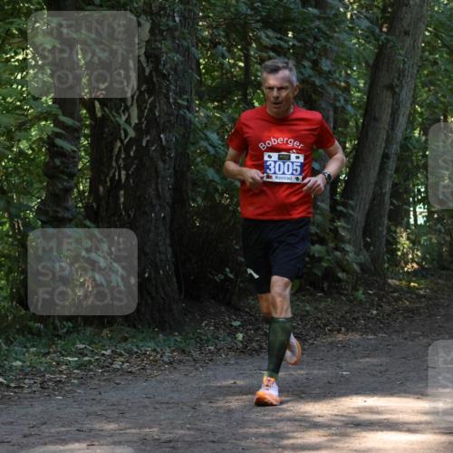 28.09.2025 - 33. Volkslauf durch das schöne Alstertal Strokosch-Dieckow http://msf.ph/oto/8968699 28.09.2025 11:12:44 Laufen 3005 meine-sportfotos.de