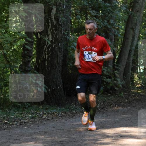 28.09.2025 - 33. Volkslauf durch das schöne Alstertal Strokosch-Dieckow http://msf.ph/oto/8968701 28.09.2025 11:12:44 Laufen 300 meine-sportfotos.de