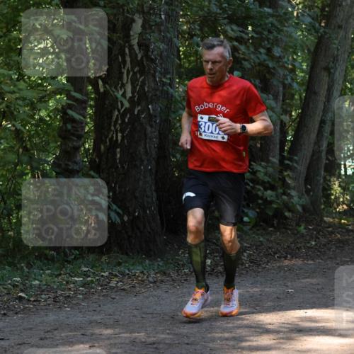28.09.2025 - 33. Volkslauf durch das schöne Alstertal Strokosch-Dieckow http://msf.ph/oto/8968702 28.09.2025 11:12:44 Laufen 300 meine-sportfotos.de