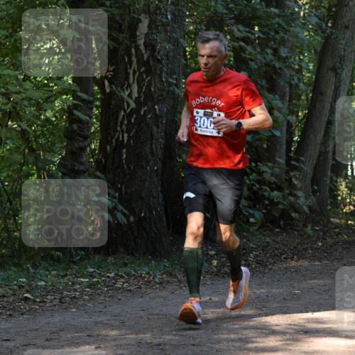 28.09.2025 - 33. Volkslauf durch das schöne Alstertal Strokosch-Dieckow http://msf.ph/oto/8968703 28.09.2025 11:12:44 Laufen 300 meine-sportfotos.de