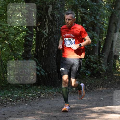 28.09.2025 - 33. Volkslauf durch das schöne Alstertal Strokosch-Dieckow http://msf.ph/oto/8968704 28.09.2025 11:12:45 Laufen 3005 meine-sportfotos.de
