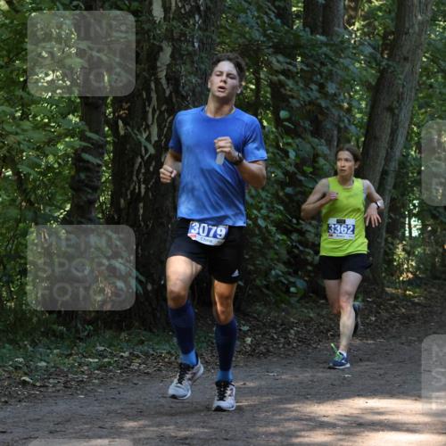 28.09.2025 - 33. Volkslauf durch das schöne Alstertal Strokosch-Dieckow http://msf.ph/oto/8968705 28.09.2025 11:13:02 Laufen 3079, 3362 meine-sportfotos.de