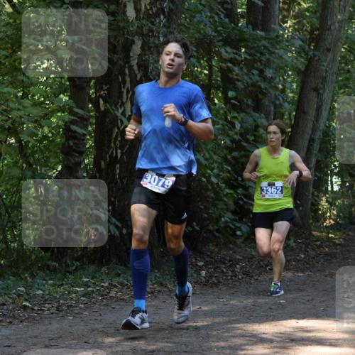 28.09.2025 - 33. Volkslauf durch das schöne Alstertal Strokosch-Dieckow http://msf.ph/oto/8968706 28.09.2025 11:13:02 Laufen 3079, 3362 meine-sportfotos.de