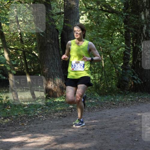 28.09.2025 - 33. Volkslauf durch das schöne Alstertal Strokosch-Dieckow http://msf.ph/oto/8968712 28.09.2025 11:13:04 Laufen 0, 3362 meine-sportfotos.de
