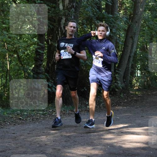 28.09.2025 - 33. Volkslauf durch das schöne Alstertal Strokosch-Dieckow http://msf.ph/oto/8968717 28.09.2025 11:13:14 Laufen 057, 3924, 3923, 3366 meine-sportfotos.de
