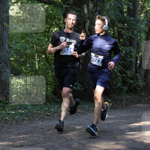28.09.2025 - 33. Volkslauf durch das schöne Alstertal Strokosch-Dieckow http://msf.ph/oto/8968723 28.09.2025 11:13:15 Laufen 057, 3924, 3923 meine-sportfotos.de