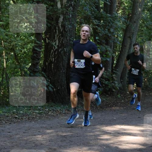 28.09.2025 - 33. Volkslauf durch das schöne Alstertal Strokosch-Dieckow http://msf.ph/oto/8968726 28.09.2025 11:13:18 Laufen 3366, 3406 meine-sportfotos.de