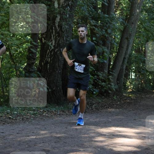 28.09.2025 - 33. Volkslauf durch das schöne Alstertal Strokosch-Dieckow http://msf.ph/oto/8968731 28.09.2025 11:13:20 Laufen 3939, 3406 meine-sportfotos.de