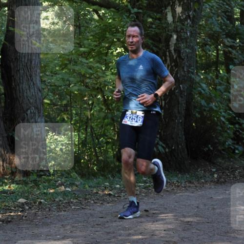 28.09.2025 - 33. Volkslauf durch das schöne Alstertal Strokosch-Dieckow http://msf.ph/oto/8968743 28.09.2025 11:14:23 Laufen 3256, 23 meine-sportfotos.de