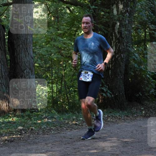 28.09.2025 - 33. Volkslauf durch das schöne Alstertal Strokosch-Dieckow http://msf.ph/oto/8968744 28.09.2025 11:14:24 Laufen  meine-sportfotos.de