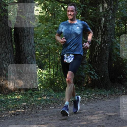 28.09.2025 - 33. Volkslauf durch das schöne Alstertal Strokosch-Dieckow http://msf.ph/oto/8968746 28.09.2025 11:14:24 Laufen 3256 meine-sportfotos.de