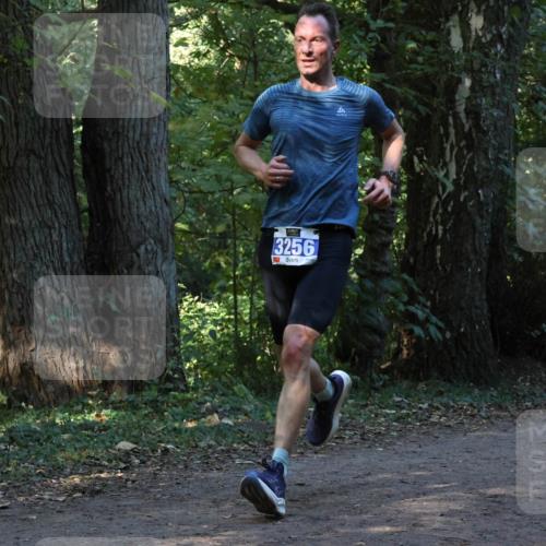 28.09.2025 - 33. Volkslauf durch das schöne Alstertal Strokosch-Dieckow http://msf.ph/oto/8968747 28.09.2025 11:14:24 Laufen 3256 meine-sportfotos.de