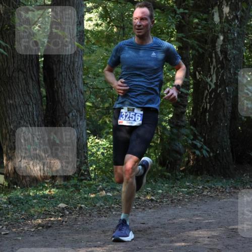 28.09.2025 - 33. Volkslauf durch das schöne Alstertal Strokosch-Dieckow http://msf.ph/oto/8968748 28.09.2025 11:14:24 Laufen 3256 meine-sportfotos.de