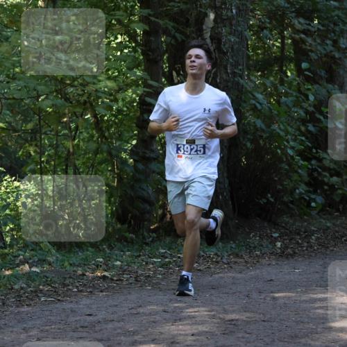 28.09.2025 - 33. Volkslauf durch das schöne Alstertal Strokosch-Dieckow http://msf.ph/oto/8968749 28.09.2025 11:14:38 Laufen 3925 meine-sportfotos.de