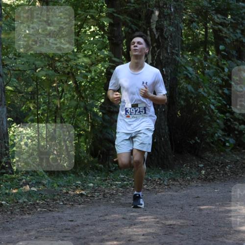 28.09.2025 - 33. Volkslauf durch das schöne Alstertal Strokosch-Dieckow http://msf.ph/oto/8968750 28.09.2025 11:14:38 Laufen 3925 meine-sportfotos.de