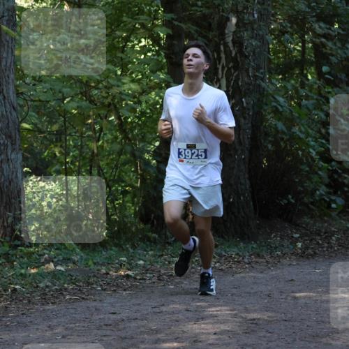 28.09.2025 - 33. Volkslauf durch das schöne Alstertal Strokosch-Dieckow http://msf.ph/oto/8968751 28.09.2025 11:14:38 Laufen 3925 meine-sportfotos.de