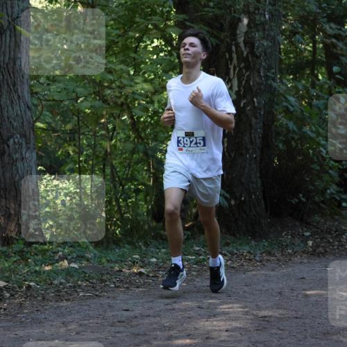28.09.2025 - 33. Volkslauf durch das schöne Alstertal Strokosch-Dieckow http://msf.ph/oto/8968752 28.09.2025 11:14:38 Laufen 3925 meine-sportfotos.de