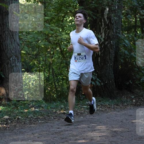 28.09.2025 - 33. Volkslauf durch das schöne Alstertal Strokosch-Dieckow http://msf.ph/oto/8968753 28.09.2025 11:14:38 Laufen 3925 meine-sportfotos.de
