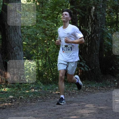 28.09.2025 - 33. Volkslauf durch das schöne Alstertal Strokosch-Dieckow http://msf.ph/oto/8968754 28.09.2025 11:14:38 Laufen 3925 meine-sportfotos.de