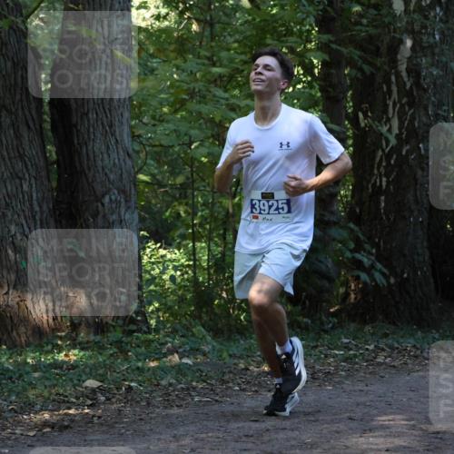 28.09.2025 - 33. Volkslauf durch das schöne Alstertal Strokosch-Dieckow http://msf.ph/oto/8968756 28.09.2025 11:14:38 Laufen 3925 meine-sportfotos.de
