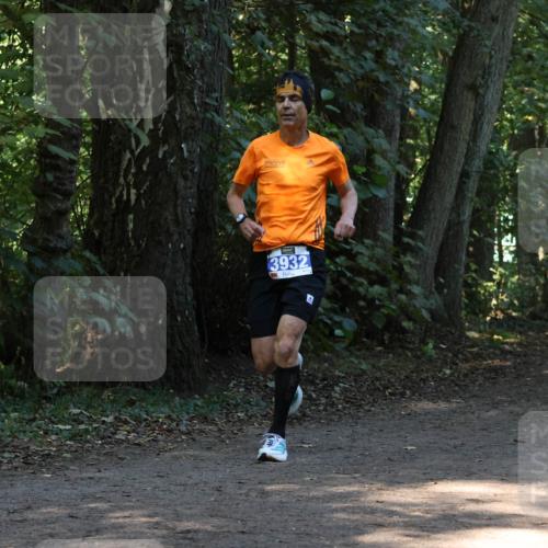 28.09.2025 - 33. Volkslauf durch das schöne Alstertal Strokosch-Dieckow http://msf.ph/oto/8968758 28.09.2025 11:14:49 Laufen 3932 meine-sportfotos.de