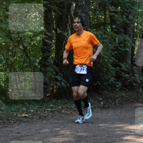 28.09.2025 - 33. Volkslauf durch das schöne Alstertal Strokosch-Dieckow http://msf.ph/oto/8968764 28.09.2025 11:14:49 Laufen 3932 meine-sportfotos.de