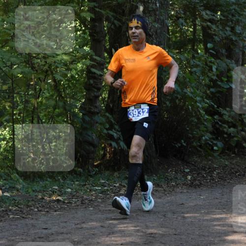 28.09.2025 - 33. Volkslauf durch das schöne Alstertal Strokosch-Dieckow http://msf.ph/oto/8968766 28.09.2025 11:14:49 Laufen 3932 meine-sportfotos.de