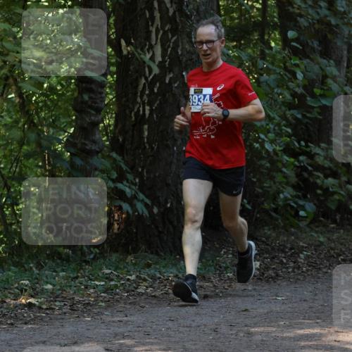 28.09.2025 - 33. Volkslauf durch das schöne Alstertal Strokosch-Dieckow http://msf.ph/oto/8968767 28.09.2025 11:14:58 Laufen 3934 meine-sportfotos.de