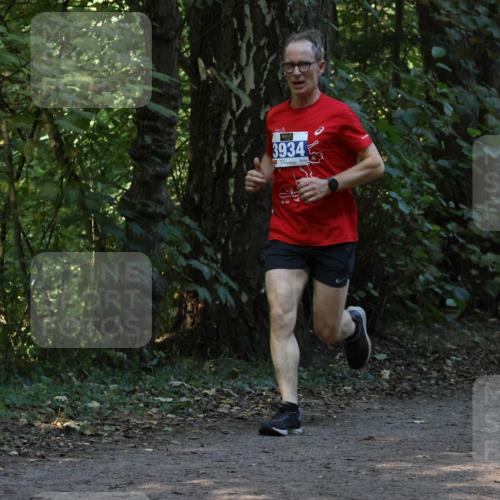 28.09.2025 - 33. Volkslauf durch das schöne Alstertal Strokosch-Dieckow http://msf.ph/oto/8968768 28.09.2025 11:14:58 Laufen 3934 meine-sportfotos.de
