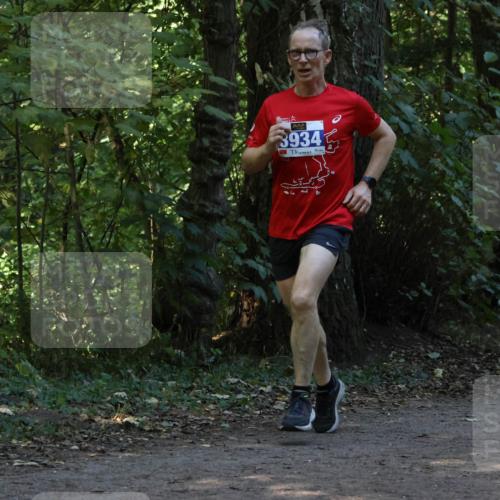 28.09.2025 - 33. Volkslauf durch das schöne Alstertal Strokosch-Dieckow http://msf.ph/oto/8968771 28.09.2025 11:14:59 Laufen 3934 meine-sportfotos.de