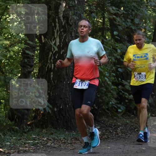 28.09.2025 - 33. Volkslauf durch das schöne Alstertal Strokosch-Dieckow http://msf.ph/oto/8968773 28.09.2025 11:15:51 Laufen 3107, 3938 meine-sportfotos.de